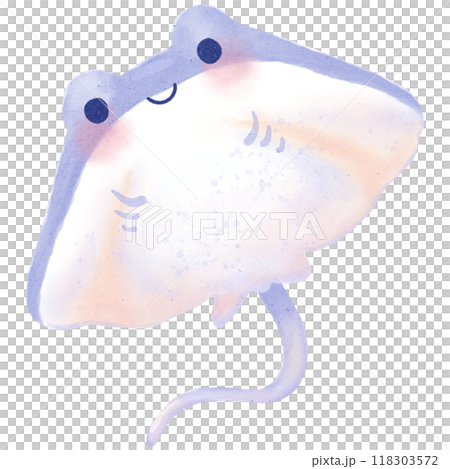 Stingray watercolor illustration isolated on white background 118303572