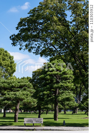 皇居外苑の風景 118303912