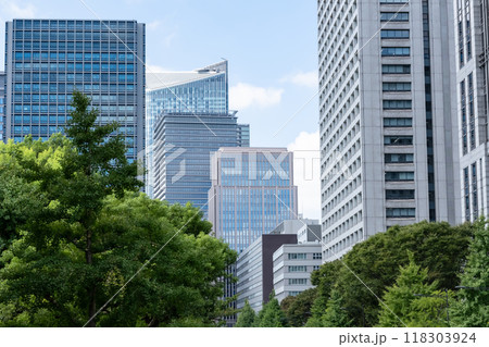 緑のあるオフィス街の風景（東京霞が関） 118303924