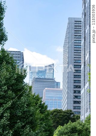 緑のあるオフィス街の風景(東京虎ノ門) 緑のあるオフィス街の風景(東京虎ノ門) 118303936