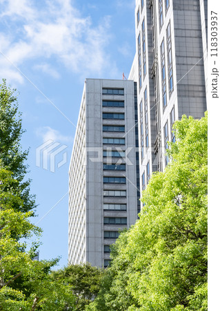 緑のあるオフィス街の風景(東京霞が関) 緑のあるオフィス街の風景(東京霞が関) 118303937