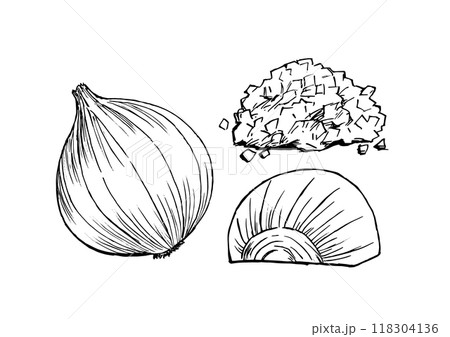 玉ねぎ　丸ごと・半分・みじん切り　手描き　線画セット 118304136