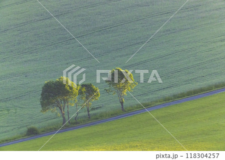 Western Tatras (Rohace) in spring time, Slovakia 118304257