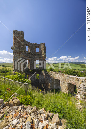 Ruins of Plavec castle near Stara Lubovna, Presov region, Slovakia Ruins of Plavec castle near Stara Lubovna, Presov region, Slovakia 118304264