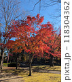 秋の風景　紅葉 118304362