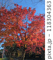秋の風景　紅葉 118304363
