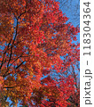 秋の風景　紅葉 118304364