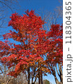 秋の風景　紅葉 118304365
