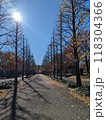 秋の風景　紅葉 118304366