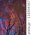 秋の風景　紅葉 118304367