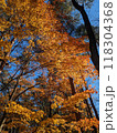 秋の風景　紅葉 118304368