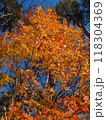 秋の風景　紅葉 118304369