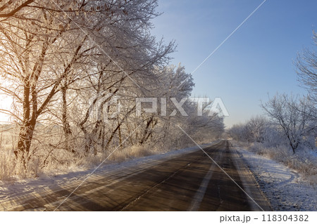 The road through the winter forest 118304382