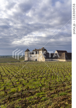 Typical vineyards near Clos de Vougeot, Cote de Nuits, Burgundy, France 118304558