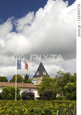 Typical vineyards near Chateau Tronquoy, Saint-Estephe, Bordeaux, Aquitaine, France 118304714