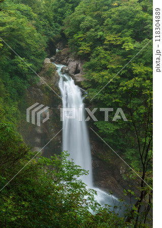 宮城県秋保大滝の風景 Akiu Waterfall in Miyagi Japan 宮城県秋保大滝の風景 Akiu Waterfall in Miyagi Japan 118304889