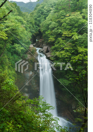 宮城県秋保大滝の風景 Akiu Waterfall in Miyagi Japan 118304890