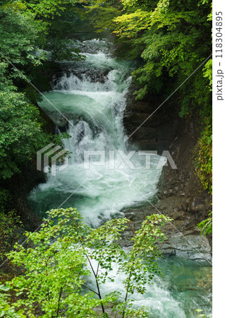 夏の鳳鳴四十八滝の風景 Houmei Shijuhachitaki waterfall 118304895