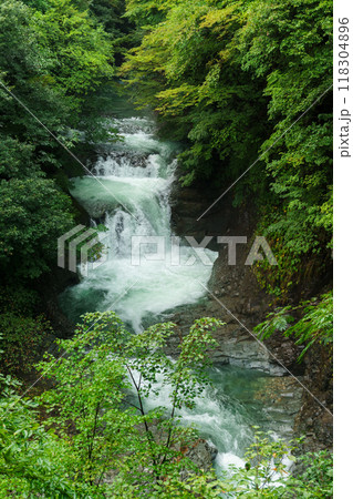 夏の鳳鳴四十八滝の風景 Houmei Shijuhachitaki waterfall 118304896