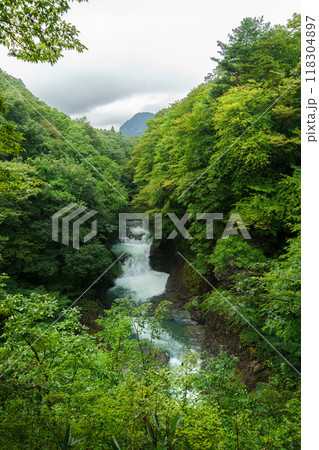 夏の鳳鳴四十八滝の風景 Houmei Shijuhachitaki waterfall 118304897