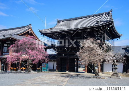 紅梅白梅の咲く山門　興正寺 118305143