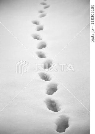 Footprints in the snow Footprints in the snow 118305189