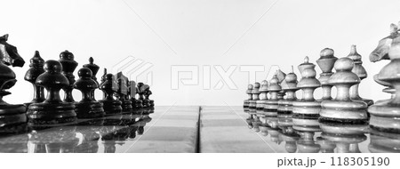 Chess pieces on the board 118305190