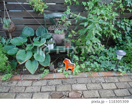 様々な植物が植えられた庭 様々な植物が植えられた庭 118305309