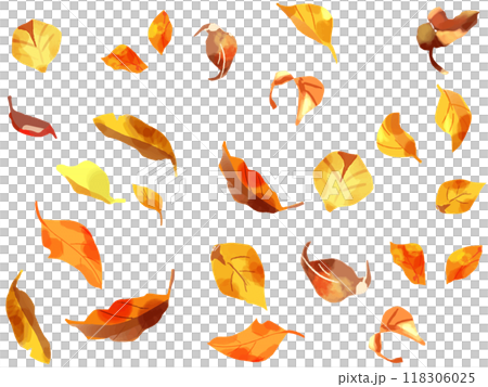 Falling leaves in autumn 118306025