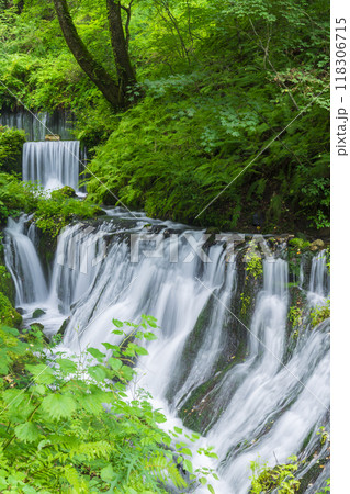 軽井沢の人気スポット白糸の滝 118306715