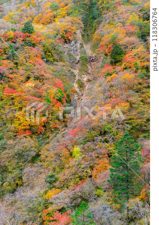 紅葉の山肌を望む 紅葉の山肌を望む 118306764