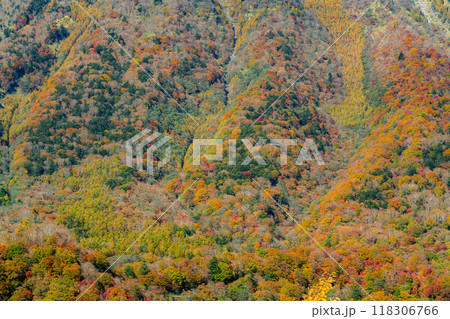 紅葉の山肌を望む 紅葉の山肌を望む 118306766