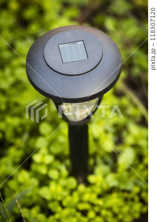 LED garden light LED garden light 118307120
