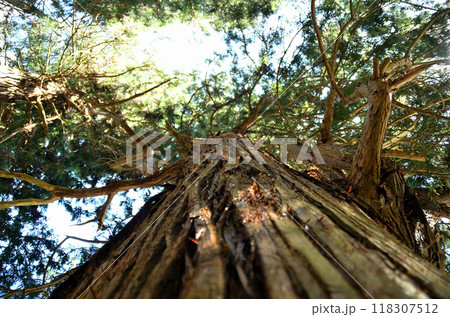 福島県南会津郡下郷町　奥会津三十三観音十番札所大悲殿　小野観世音 118307512