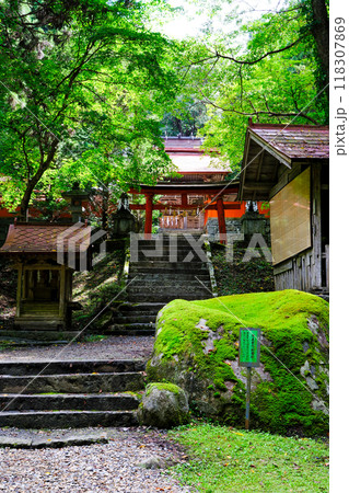 苔むした弓場石（縦） 118307869