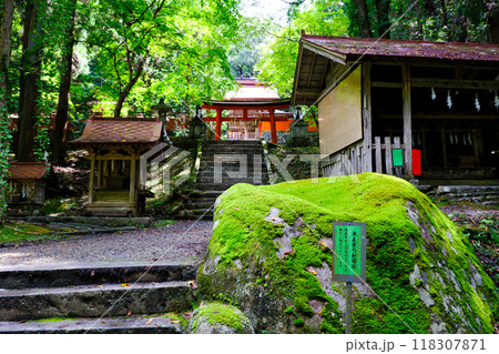苔むした弓場石 118307871