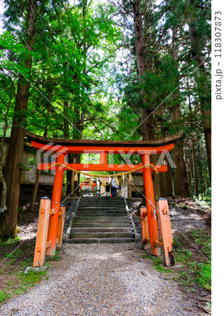丹内山神社三の鳥居（縦） 118307873