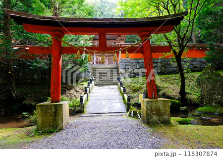 丹内山神社鳥居と神門 丹内山神社鳥居と神門 118307874