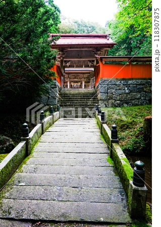丹内山神社御神門(縦) 丹内山神社御神門(縦) 118307875