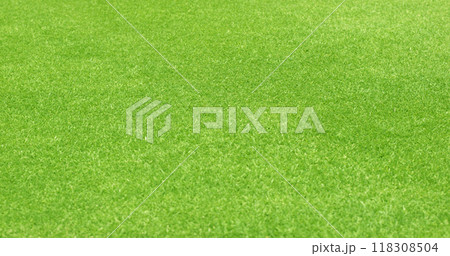 Golf green grass background 118308504