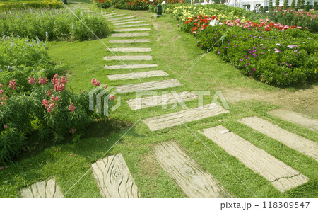Walkway in the flower garden Walkway in the flower garden 118309547