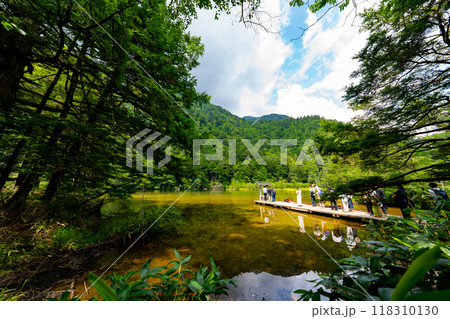 上高地 明神池の風景 上高地 明神池の風景 118310130