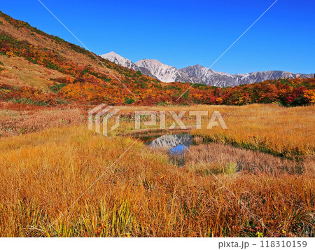 池塘に映る白馬三山 秋の八方尾根 鎌池湿原 118310159
