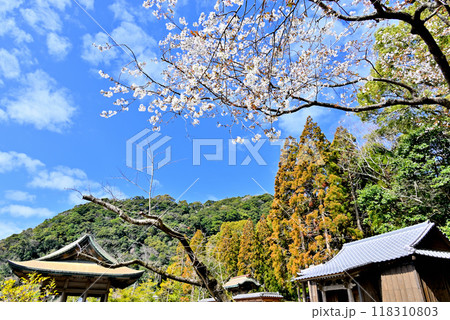 さくら咲く仙巌園 118310803