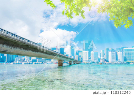 東京の大都市につながる橋 118312240