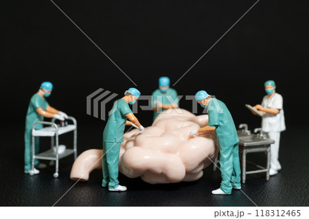 Miniature People Doctor checking and analysis small intestine model , Science and medicine concept Miniature People Doctor checking and analysis small intestine model , Science and medicine concept 118312465