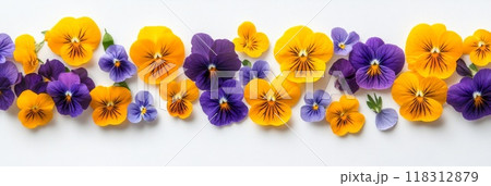 Flowers composition. Yellow and purple flowers on white background. Easter, spring, summer concept. Flat lay, top view 118312879