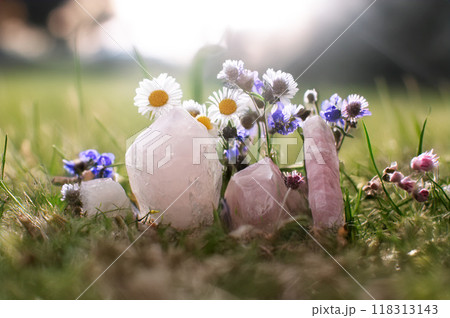 pink quartz  in nature 118313143