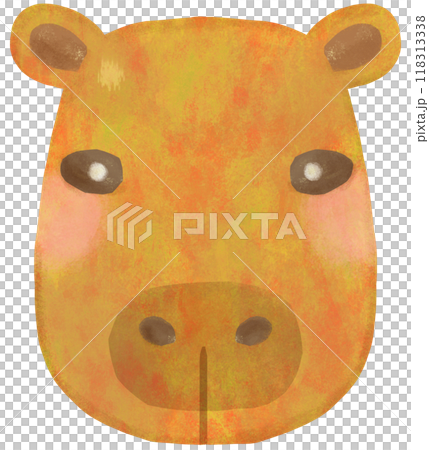 Cute capybara illustration face 118313338