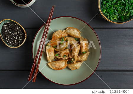 japanese fried gyoza dumplings, with pork, sesame seeds, green onions, japanese fried gyoza dumplings, with pork, sesame seeds, green onions, 118314004